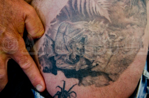 nz-tuatara-weta-tattoo